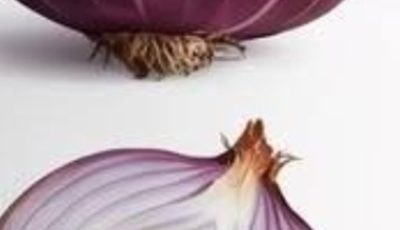 The Powerful Health Benefits of Onions Full article