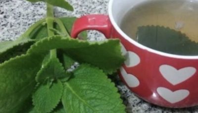 5 Reasons Seniors Should Add Oregano to Their Diet (A Simple Herb with Surprising Benefits