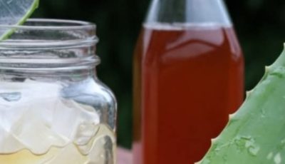 Aloe Vera and Honey: Natural Remedies for Wellness – What Science Really Says