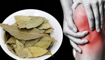 Bay Leaf Recipe for Knees and Joints: Natural Remedies for Joint Wellness