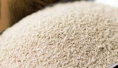 Yeast Removes Wrinkles in 3 Minutes: Natural Anti-Aging Mask