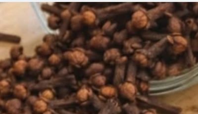 Why Dentists Rely on Cloves: Exploring the Eugenol Compound and Everyday Uses