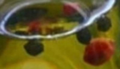 The oil renowned for eliminating uric acid from the bloodstream, alleviating anxiety, chronic arthritis, rheumatism, and reducing cravings for cigarettes and alcohol.