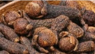 The Protective Spice: Exploring the Natural Wellness Potential of Cloves