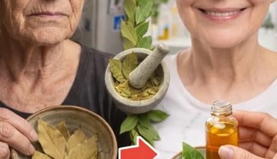 Bay Leaves for Skin Health: Exploring Traditional Uses, Antioxidant Properties, and Easy Home Tips