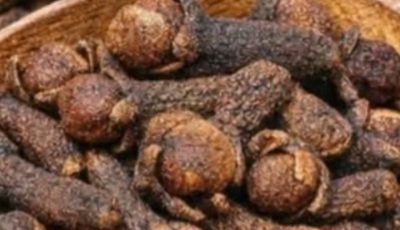 The Protective Spice: Exploring the Natural Wellness Potential of Cloves