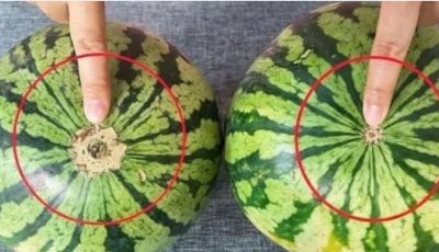 No more bland watermelons! Here’s a sure-fire visual guide to finding the sweetest fruit at the market.