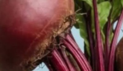 The Truth About Beetroot and How You Should Consume It