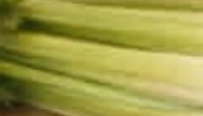 Celery Juice in Modern Wellness Kitchens: Benefits, Myths, Quality Tips, and Smart Daily Use