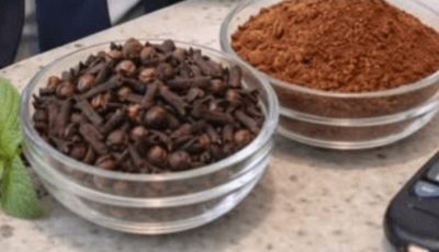 Chew Just 2 Cloves a Day — You’ll Be Amazed at What Happens to Your Body